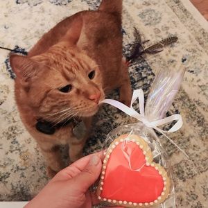 I LOVE OFFERS! ❤️